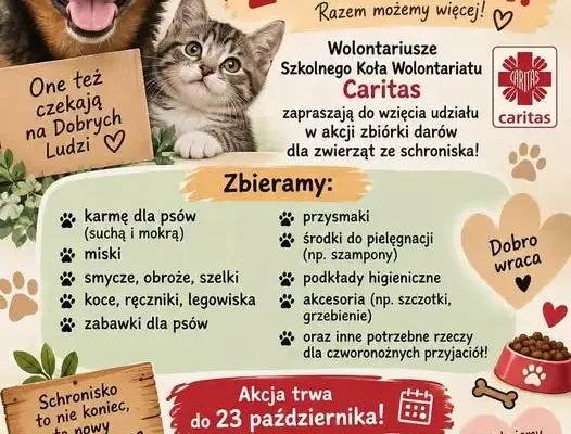 Zbiórka darów dla zwierząt ze schroniska w Zespole Szkół w Dąbrowie