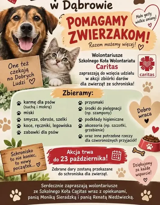 Zbiórka darów dla zwierząt ze schroniska w Zespole Szkół w Dąbrowie