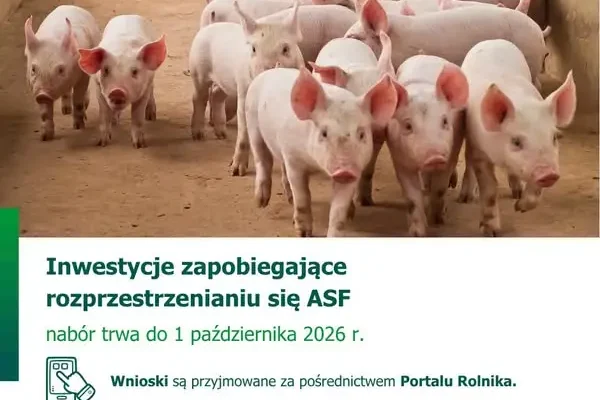 Nabór wniosków ARiMR na inwestycje chroniące gospodarstwa przed ASF trwa do 1 października