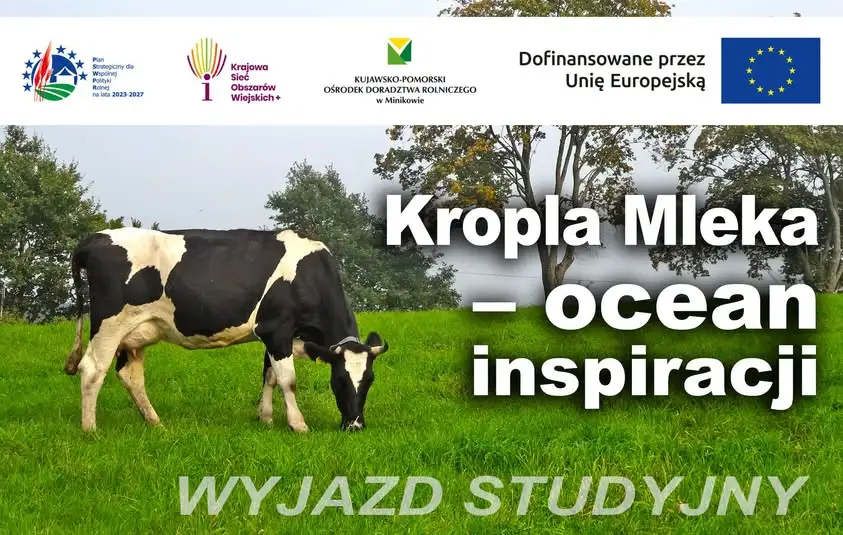 Wyjazd studyjny „Kropla Mleka – ocean inspiracji” – zapisy do 3 listopada