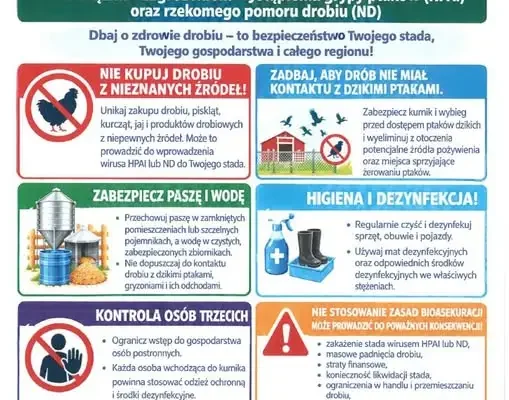 Powiatowy Lekarz Weterynarii w Mogilnie ostrzega hodowców drobiu przed grypą ptaków i rzekomym pomorem