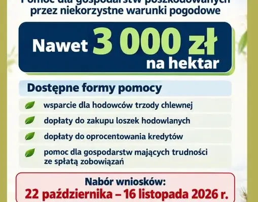 Nawet 3 tys. zł na hektar – nowy program wsparcia dla rolników poszkodowanych przez pogodę